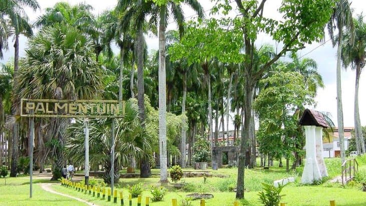Hier krijgen Surinaamse projecten vorm, structuur en inhoud
